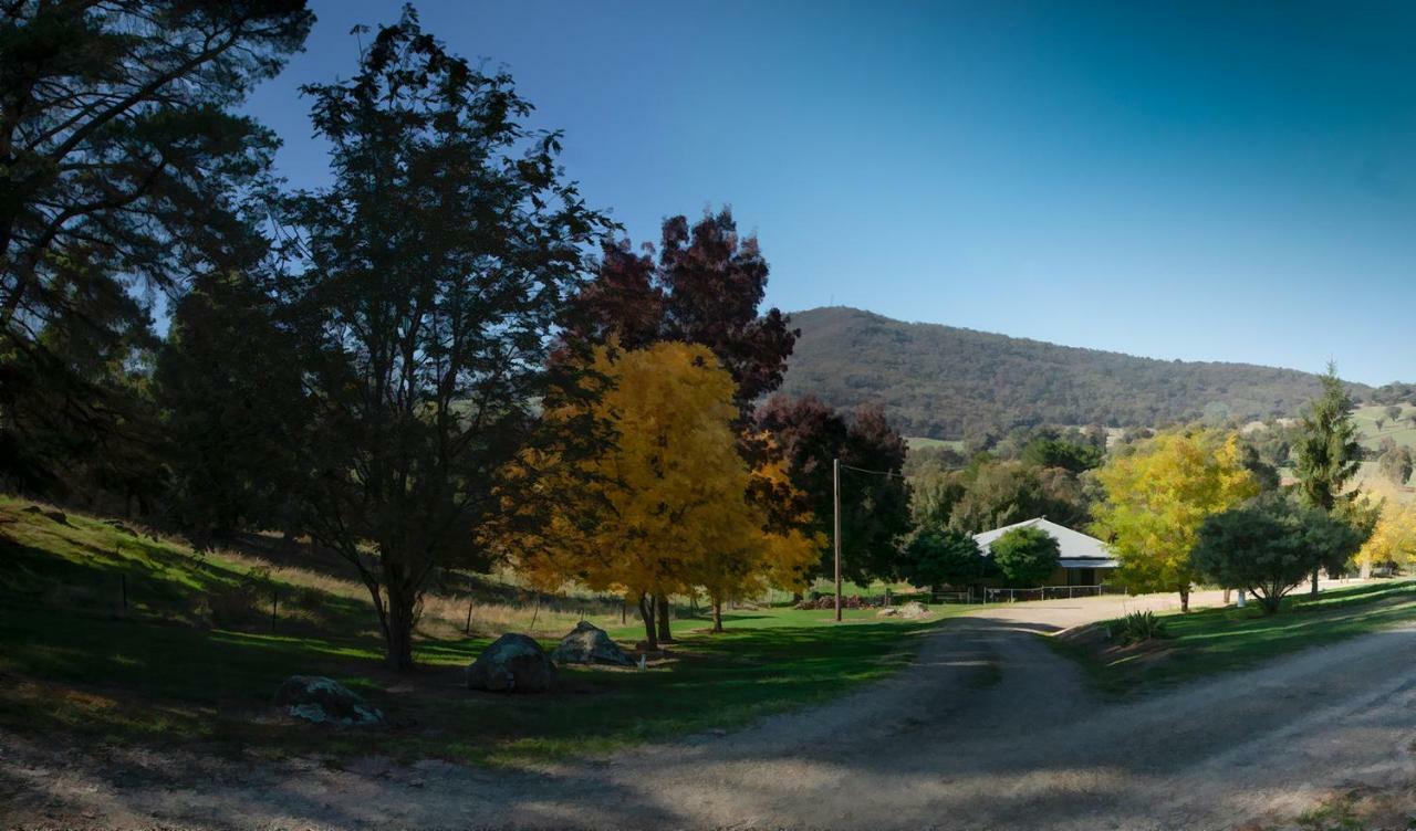 Pound Creek Gallery Apartment Tumbarumba Exterior photo